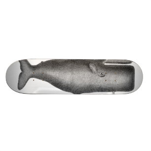 Antieke Walvis Persoonlijk Skateboard