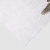 Antieke Wereldbol, Witte BG Tissuepapier (Detail)