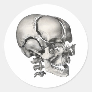 Antieke Wetenschap Menselijke Anatomie, Antieke Sc Ronde Sticker