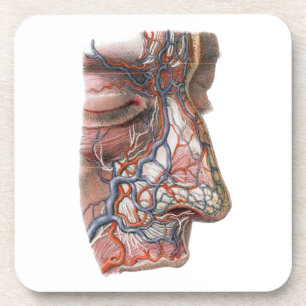 Antieke wetenschap Menselijke anatomie, gezicht me Bier Onderzetter