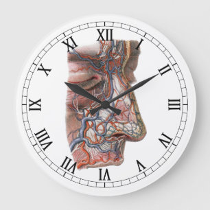Antieke wetenschap Menselijke anatomie, gezicht me Grote Klok