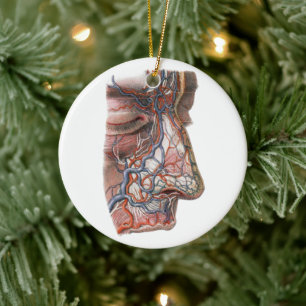 Antieke wetenschap Menselijke anatomie, gezicht me Keramisch Ornament