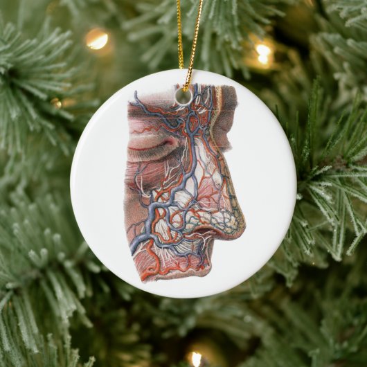 Antieke wetenschap Menselijke anatomie, gezicht me Keramisch Ornament (Boom)