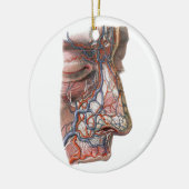 Antieke wetenschap Menselijke anatomie, gezicht me Keramisch Ornament (Links)