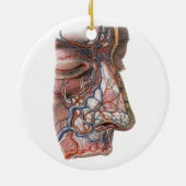 Antieke wetenschap Menselijke anatomie, gezicht me Keramisch Ornament (Achterkant)