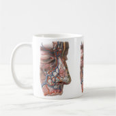 Antieke wetenschap Menselijke anatomie, gezicht me Koffiemok (Links)