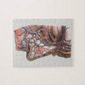 Antieke wetenschap Menselijke anatomie, gezicht me Legpuzzel (Horizontaal)