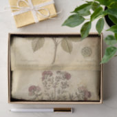 Antieke Wetenschappelijke Herbarium Botanische Tissuepapier (Geschenk)