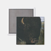 Antieke Wilde Dier, Buffel of Amerikaanse Bizon Magneet (Voorkant / Achterkant)