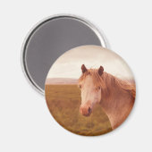 Antieke wilde paard magneet (Voorkant / Achterkant)