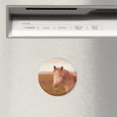 Antieke wilde paard magneet (Insitu (Vaatwasser))