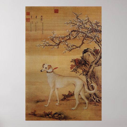 Antieke Witte Greyhound Onder Bloesems Poster (Voorkant)