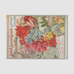 Antieke Zaadcatalogus 1895 John Salzer Winterbolle Tissuepapier