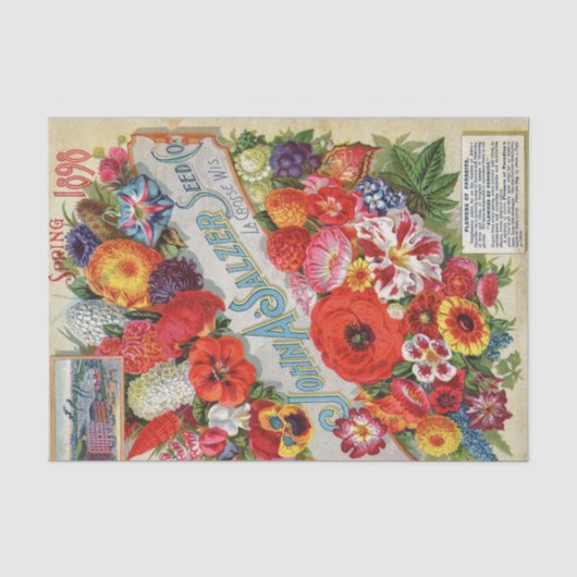 Antieke Zaadcatalogus 1898 John A Salzer Seed Co. Tissuepapier (Voorkant)
