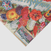 Antieke Zaadcatalogus 1898 John A Salzer Seed Co. Tissuepapier (Detail)