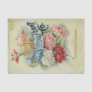Antieke Zaadcatalogus 1898 Pacific Strong Seed  Tissuepapier