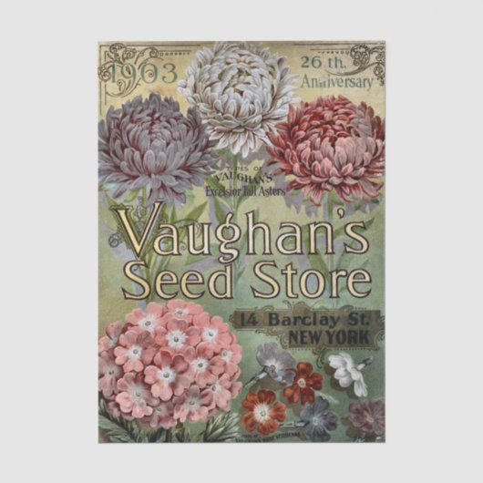 Antieke zaadcatalogus, 1903, Vaughan's, Asters Tissuepapier (Voorkant)