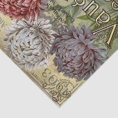 Antieke zaadcatalogus, 1903, Vaughan's, Asters Tissuepapier (Detail)