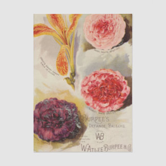 Antieke Zaadcatalogus, Burpee's Defiance Balsems Tissuepapier