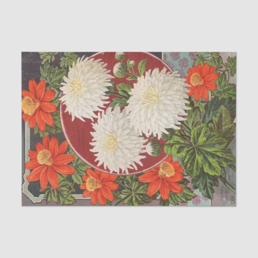 Antieke Zaadcatalogus Chrysanthemums Tissuepapier (Voorkant)