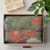 Antieke Zaadcatalogus Chrysanthemums Tissuepapier (Geschenk)