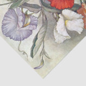 Antieke zaadcatalogus Germain, 1910, Lathyrus  Tissuepapier (Detail)