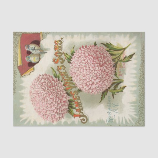 Antieke zaadcatalogus James Vick's and Sons Tissuepapier (Voorkant)