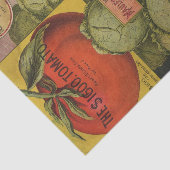 Antieke Zaadcatalogus Maule's Ruby King Tissuepapier (Detail)