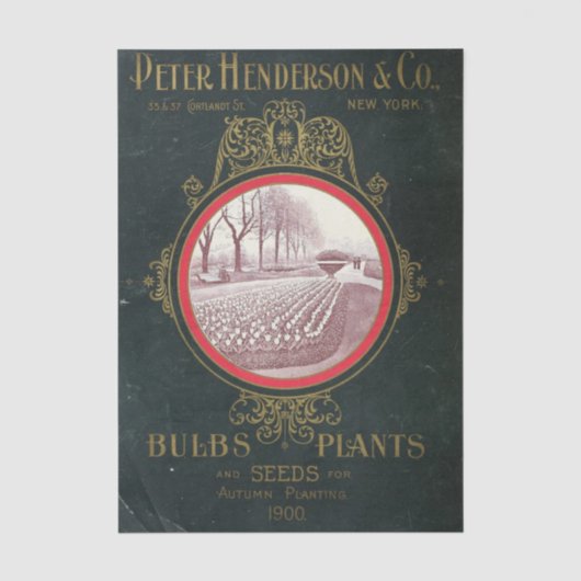 Antieke zaadcatalogus Peter Henderson Co., 1900 Tissuepapier (Voorkant)