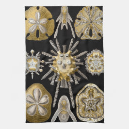 Antieke Zee-egels Zanddollars door Ernst Haeckel Theedoek