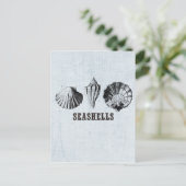 Antieke Zeeschelpen Briefkaart (Staand voorkant)