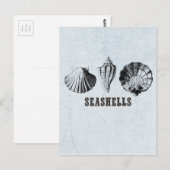 Antieke Zeeschelpen Briefkaart (Voorkant / Achterkant)