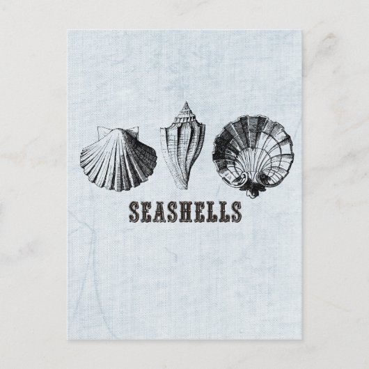 Antieke Zeeschelpen Briefkaart (Voorkant)