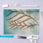 Antieke Zeewier en Zand Dollar Tissuepapier (Craft)