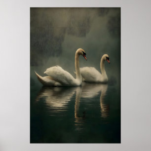 Antieke Zwanen Paar Muurkunst, Zwanen Illustratie Poster