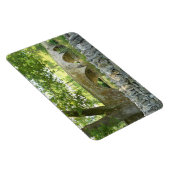 Antietam: Burnside's Bridge Photo Magnet Magneet (Rechterzijde)