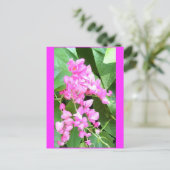 Antigonon leptopus of Coral Vine Briefkaart (Staand voorkant)