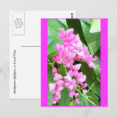 Antigonon leptopus of Coral Vine Briefkaart (Voorkant / Achterkant)