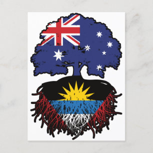 Antigua Antiguan Australia Tree Roots Briefkaart