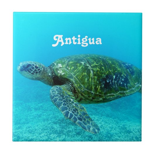 Antigua Hawk Bodemschildpad Tegeltje (Voorkant)