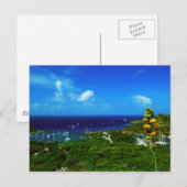 Antigua Sailboat races Briefkaart (Voorkant / Achterkant)