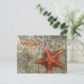 Antigua Starfish Briefkaart (Staand voorkant)