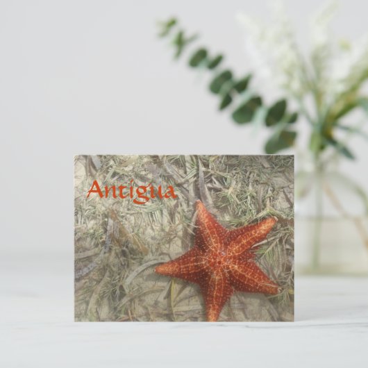 Antigua Starfish Briefkaart (Staand voorkant)