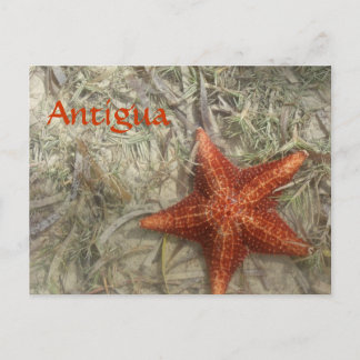 Antigua Starfish Briefkaart