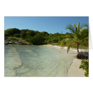 Antiguan Beach Mooi tropisch landschap