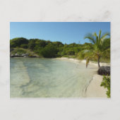 Antiguan Beach Mooi tropisch landschap Briefkaart (Voorkant)