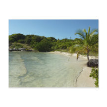 Antiguan Beach Mooi tropisch landschap