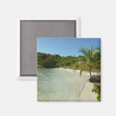 Antiguan Beach Mooi tropisch landschap Magneet (Voorkant / Achterkant)