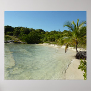 Antiguan Beach Mooi tropisch landschap Poster