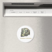 Antikythera Mechanism Magneet (Insitu (Vaatwasser))